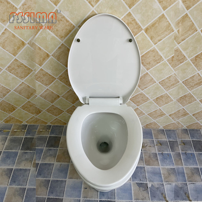 Ceramic Washdown One Piece Toilet Wc Bowl Flush FSSIMA